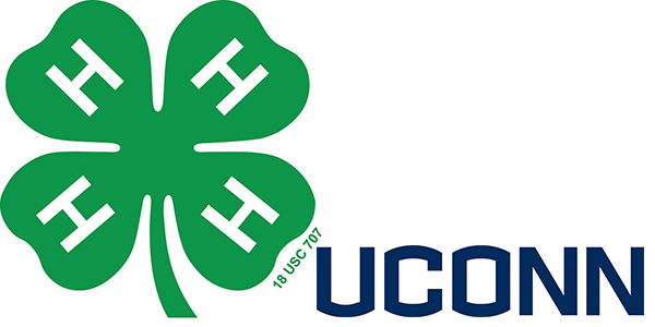 4-H UConn logo